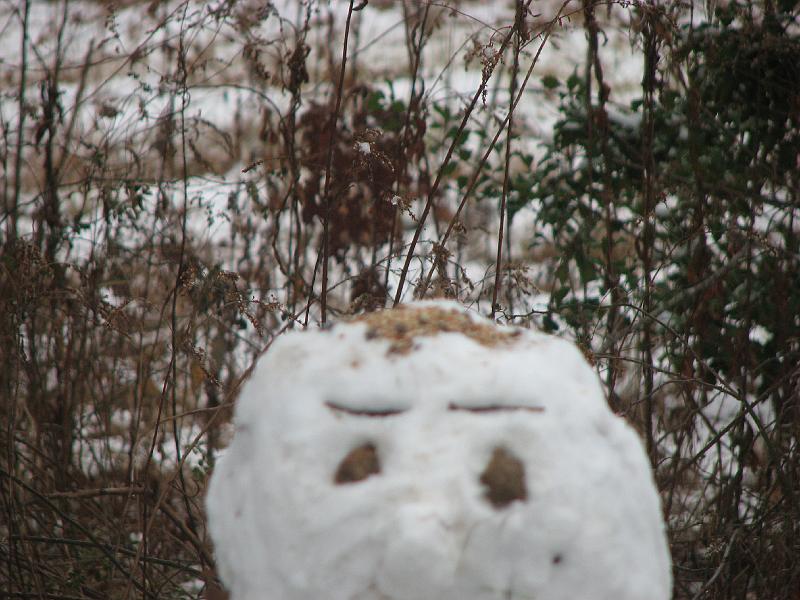 2008-12-07_First_Snow_2nd_set 011.jpg
